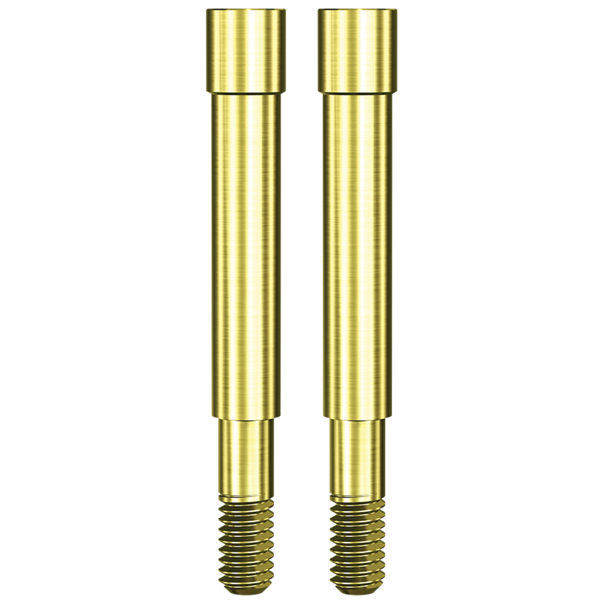 Open Tray Impression Screw (4.8mm, 6.5mm Platform) 20mm Length Compatible w/ SwishPlant-2/Pack