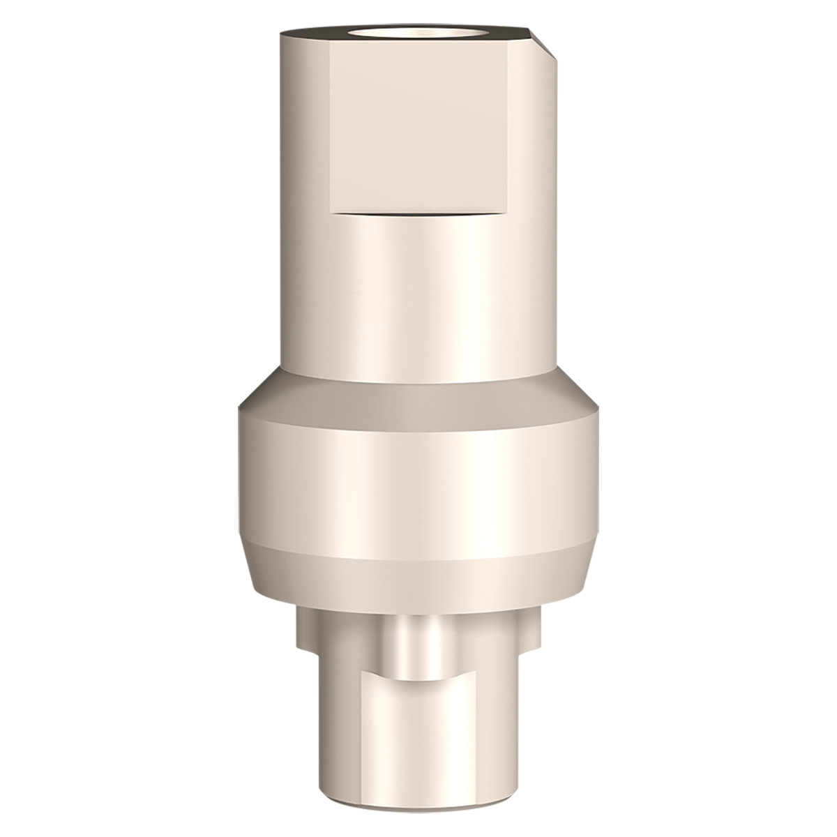 RePlant Peek Scan Adapter 6.0mmD Plat