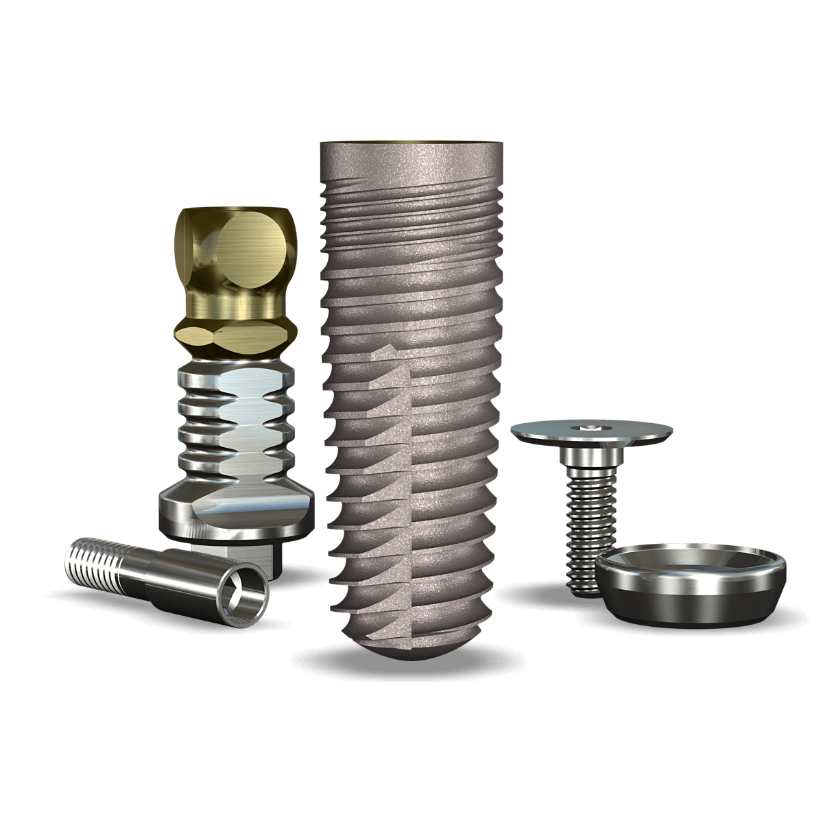 Legacy2™ 5.7mmDx16mmL SBM: 5.7mmD Platform Dental Implant System - 1/Pack