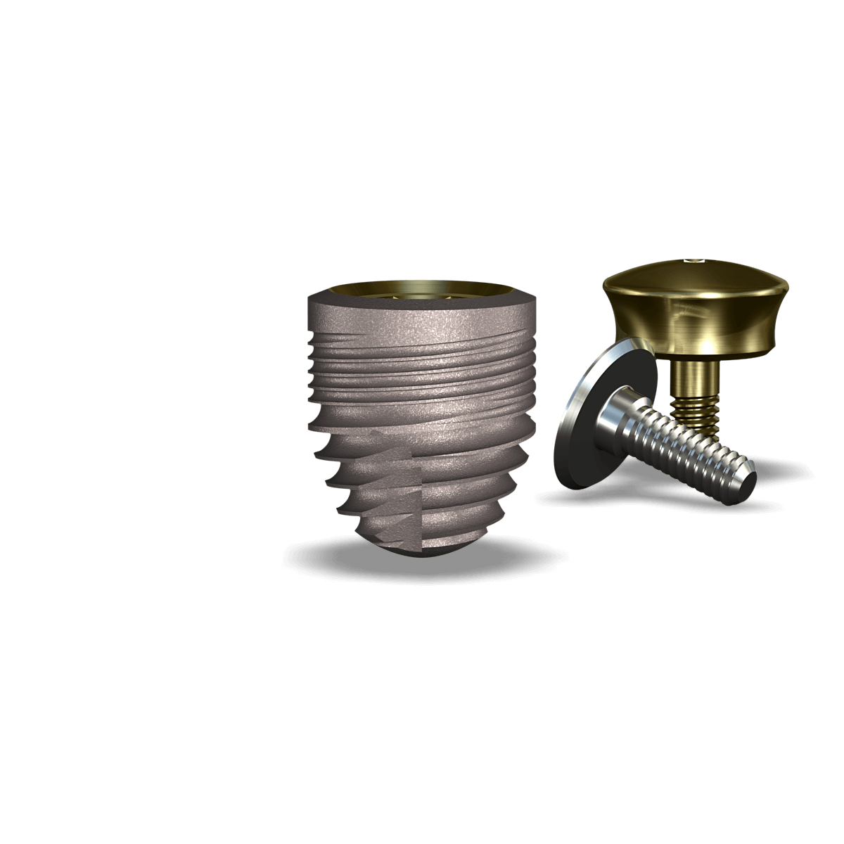 simplyLegacy2™ 7.0mmDx8mmL SBM: 5.7mmD Platform Dental Implant System - 1/Pack