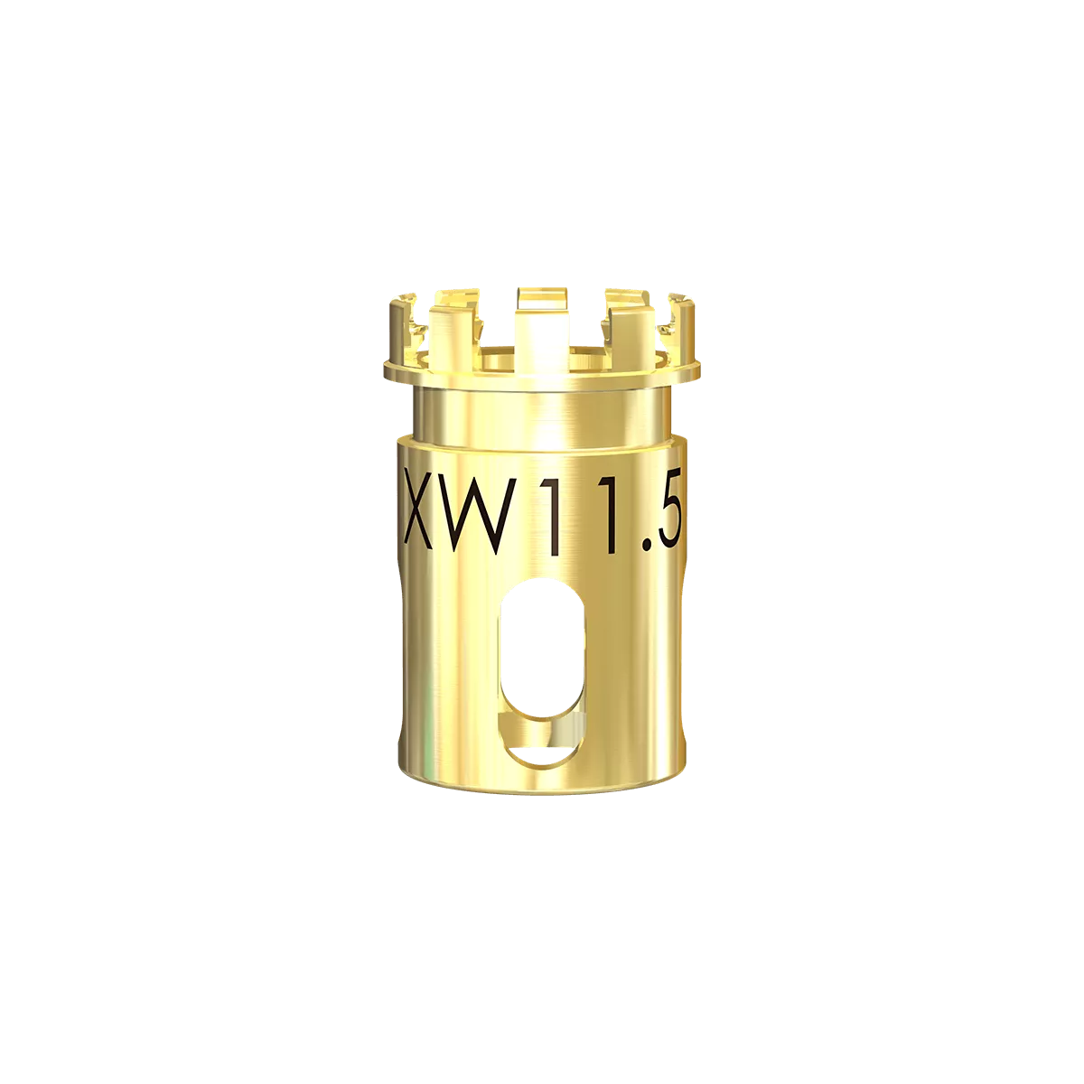 DSXW11