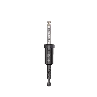 GSD2.3-11