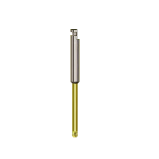HD1.3B