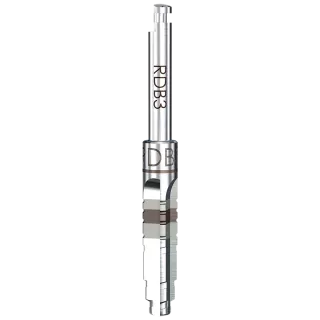 RDB3